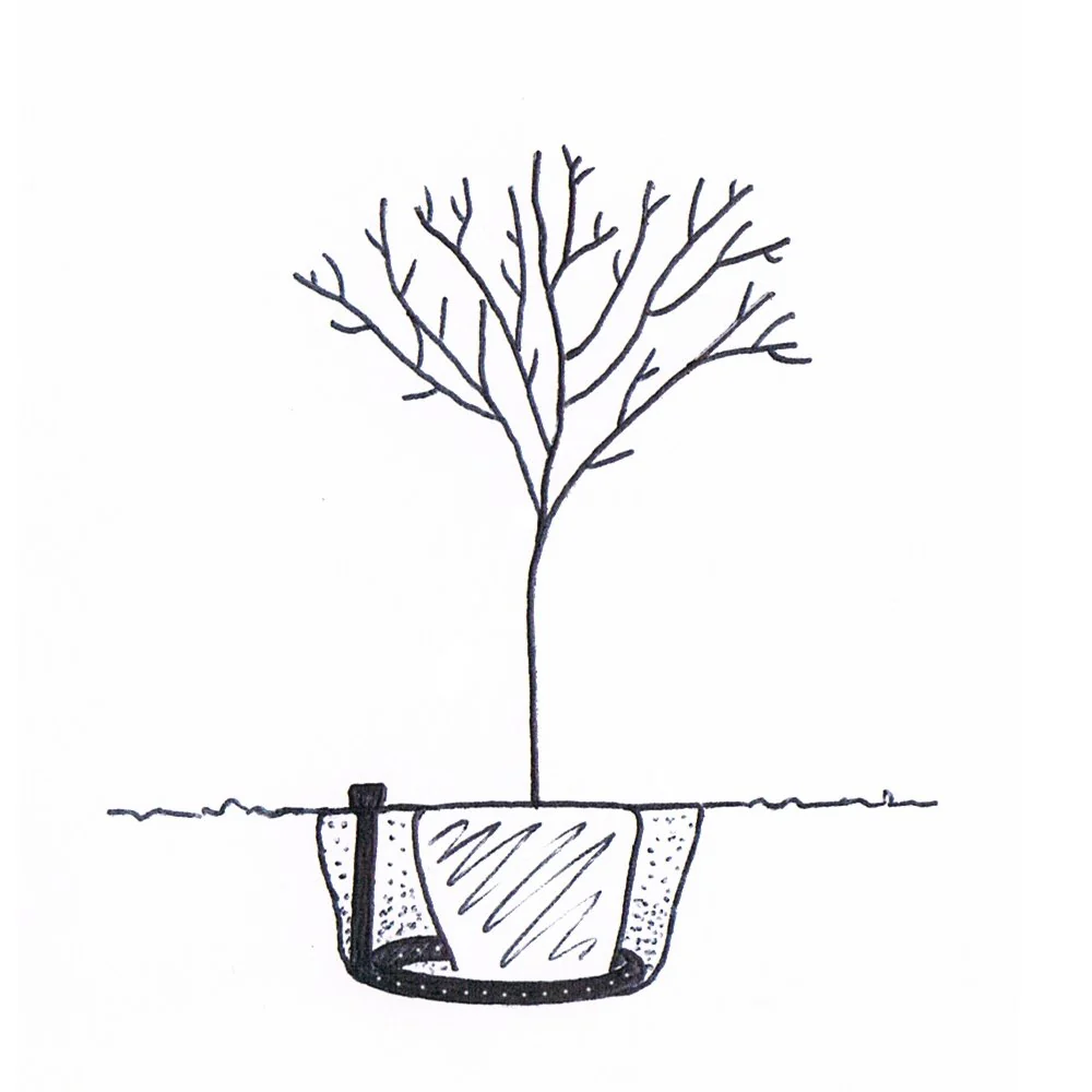 Complete Tree Planting Kit (planting kit + irrigation) - Image 4