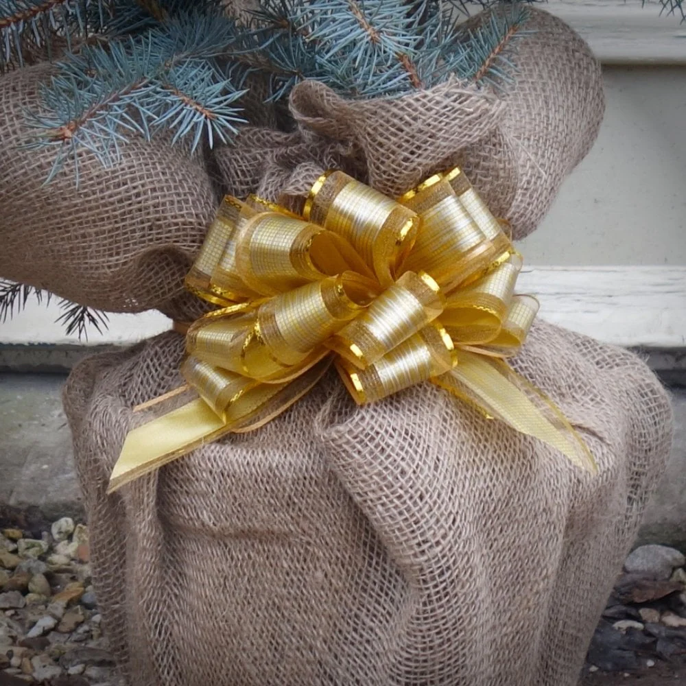 Gift Wrap Any Tree or Shrub - Custom Gift Tree - Image 7