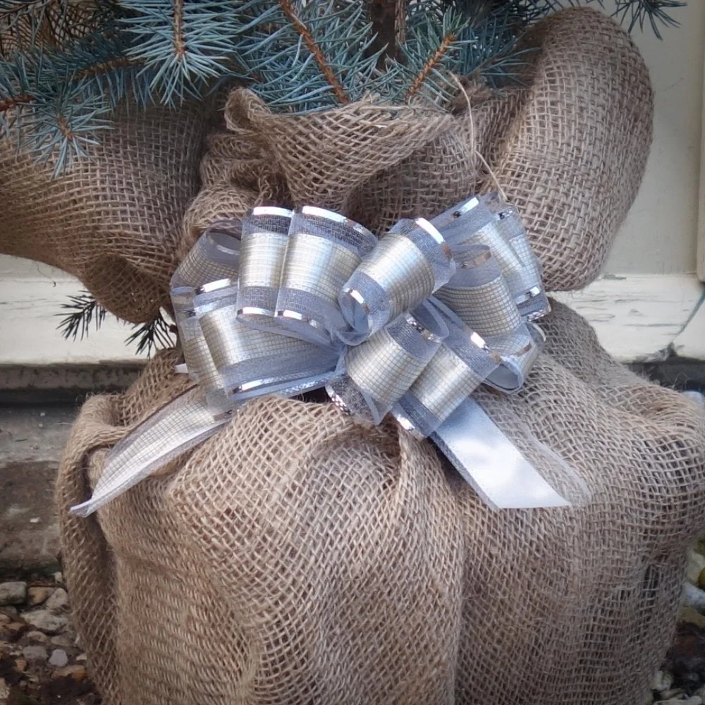 Gift Wrap Any Tree or Shrub - Custom Gift Tree - Image 8