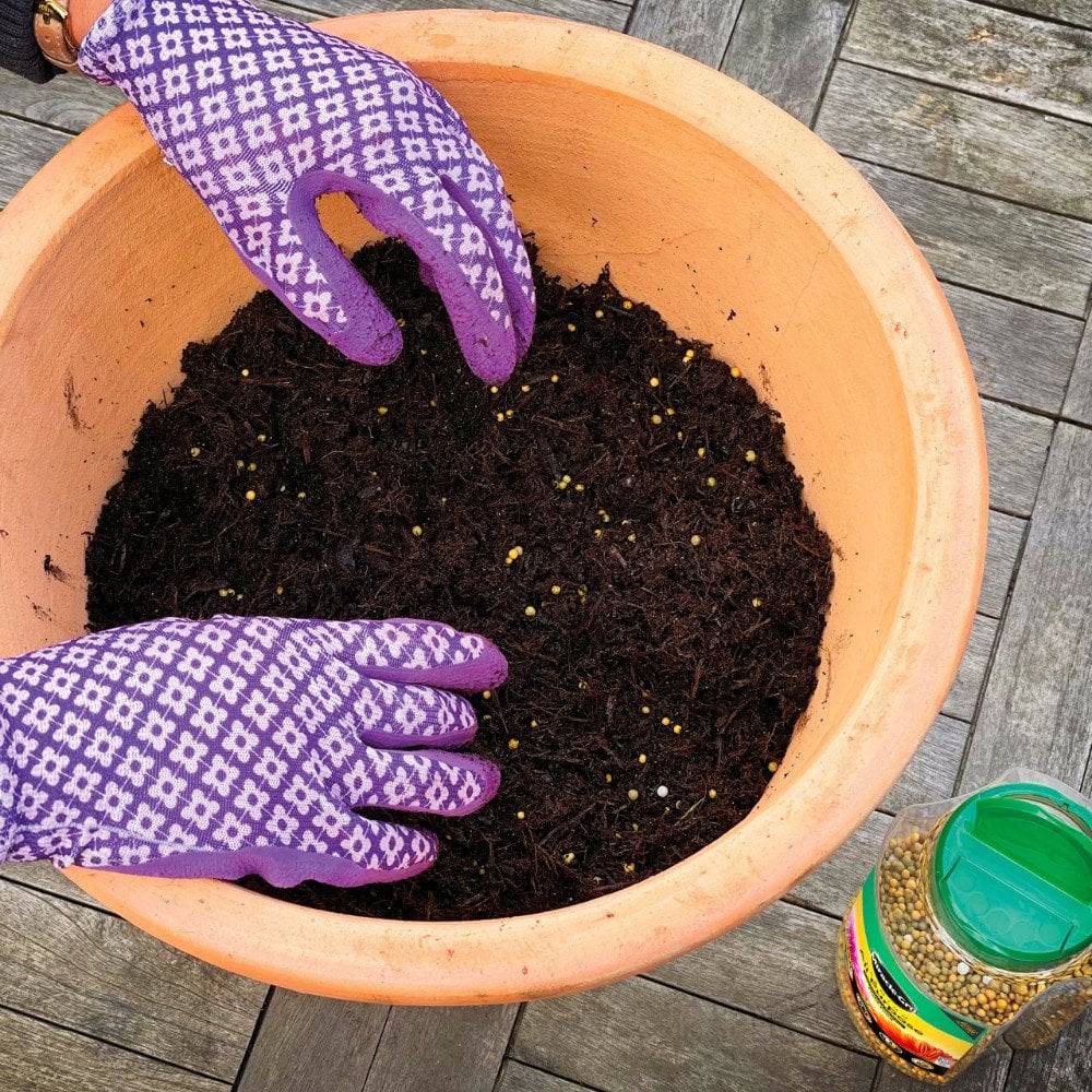 Miracle-Gro® All Purpose Continuous Release Plant Food - Image 4
