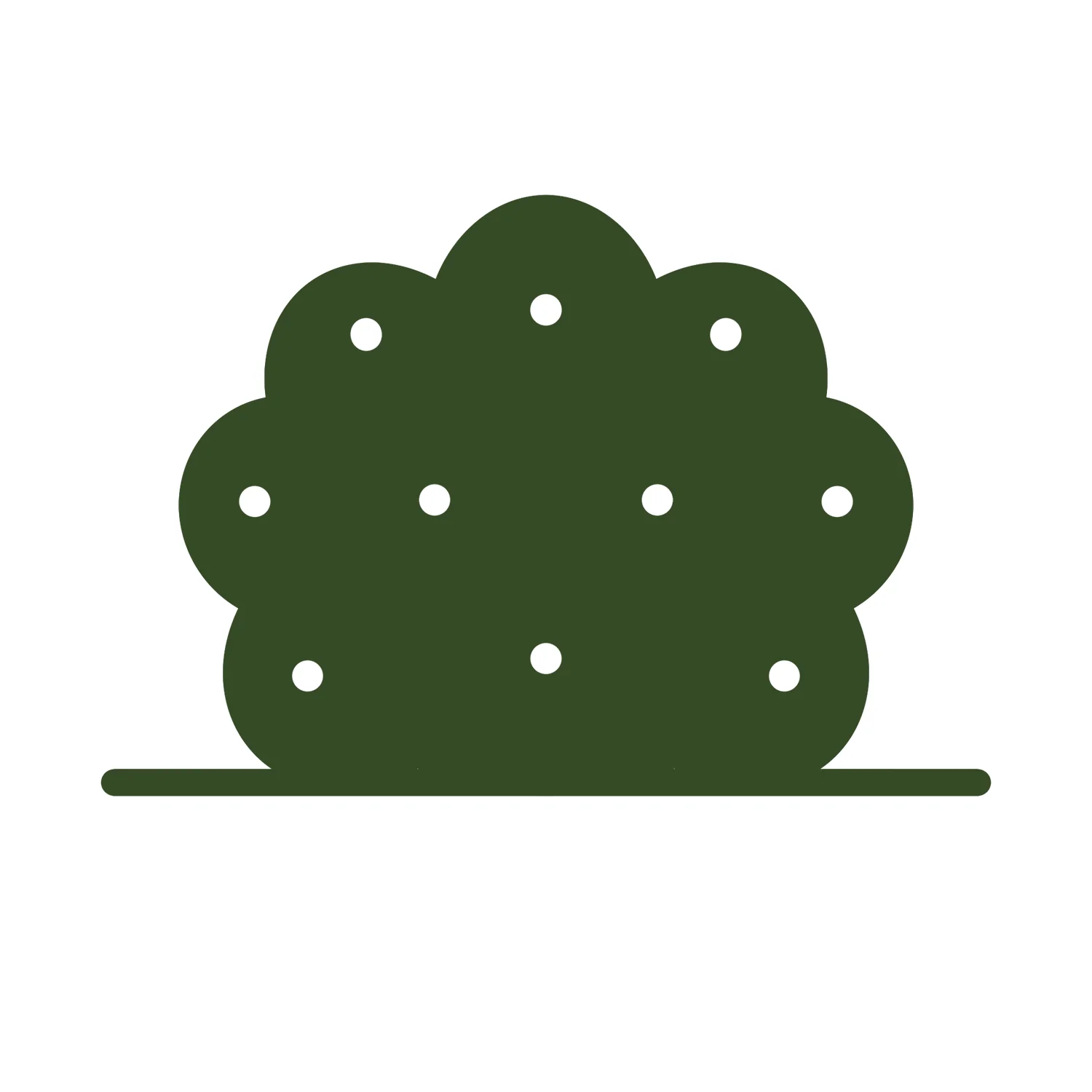 Rhododendron 'Lord Roberts' Shrub - Image 3