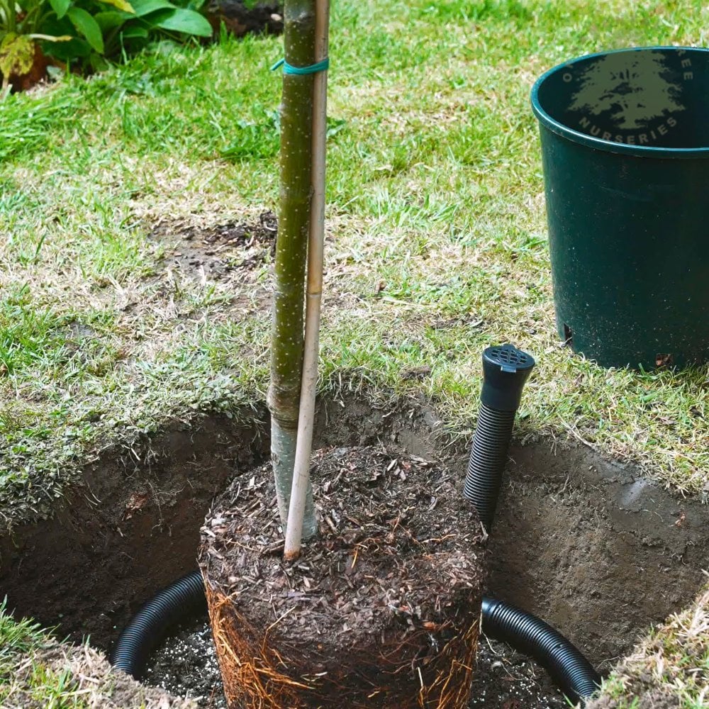 Tree Irrigation Kit - Image 2