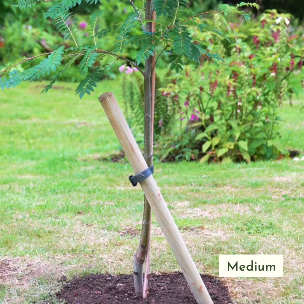 Medium Tree Stake & Tie Kit