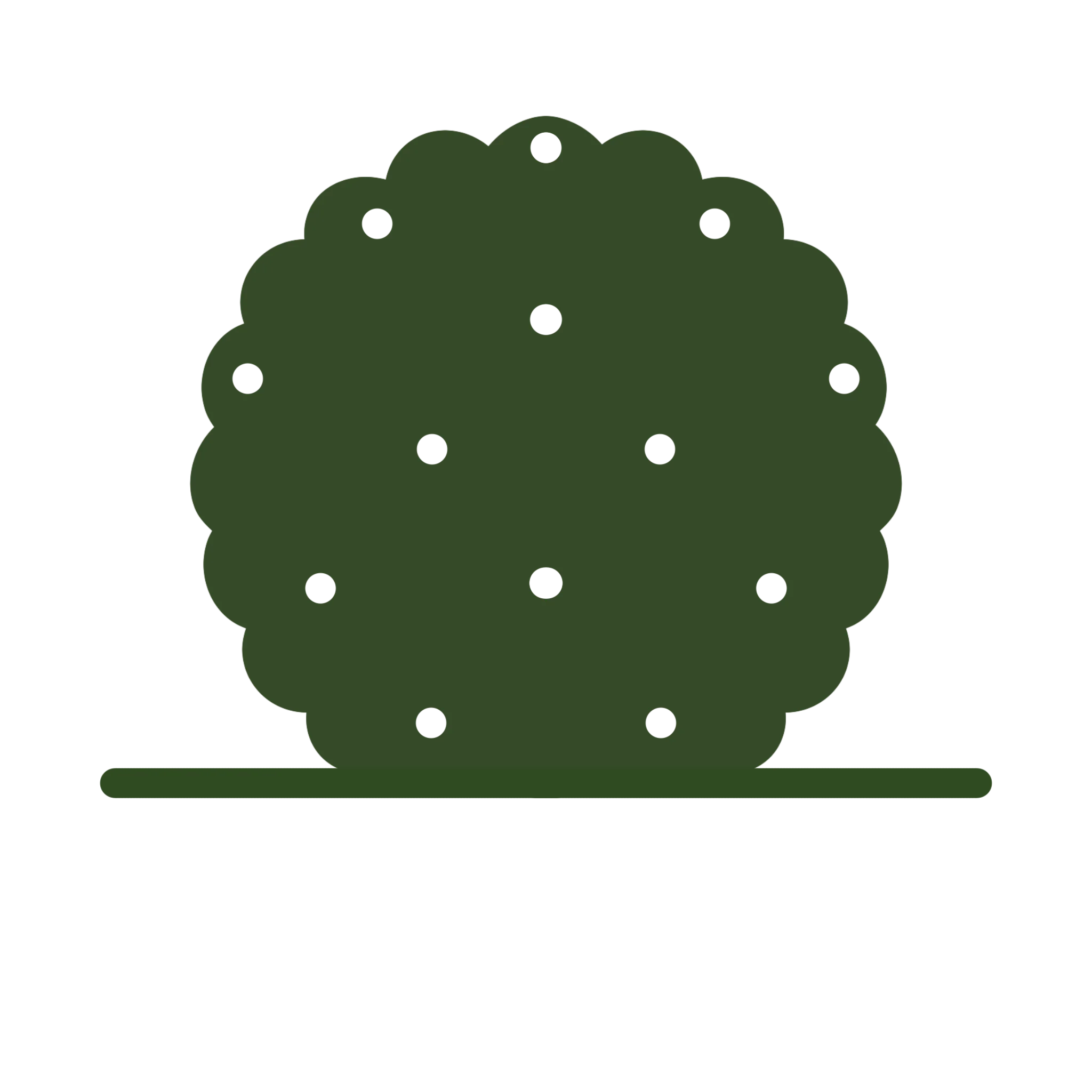 English Yew Topiary Ball - Image 3